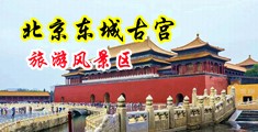 日B日老B中国北京-东城古宫旅游风景区